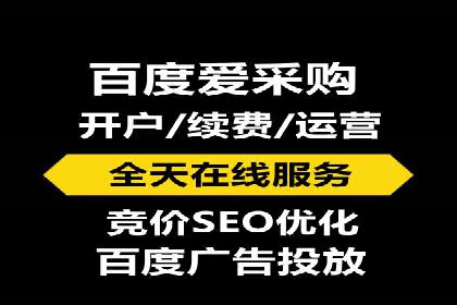 某某企业SEM推广成功案例：打造品牌营销新模式