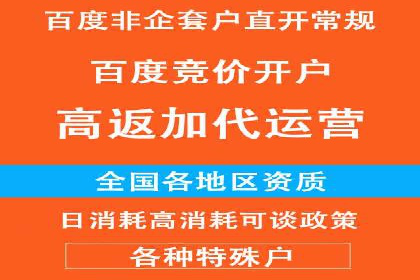 SEM竞价案例深度解析：广告主如何盈利